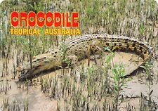 Postcard Australia Crocodile Tropical Saltwater picture