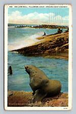 Postcard OR Sea Lion Bull Tillamook Coast Oregon Coast Highway picture