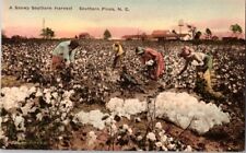 Vintage Snowy Harvest Cotton Southern Pines North Carolina Hand Colored Postcard picture