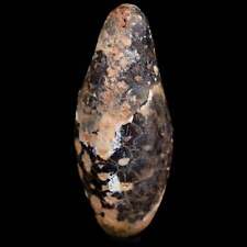 1.9 Fossil Pine Cone Equicalastrobus Replaced By Agate Eocene Age Seeds Fruit picture