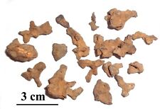 RARE Meteorite Sericho, pallasite, Kenya, lot of small individuals, 56 grams picture