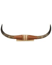 Authentic Small Steer Horns Tan picture