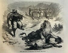 1856 Lion Slayers and Man Eaters illustrated picture