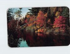 Postcard A Back Road Beauty Spot Vacationland Scene picture