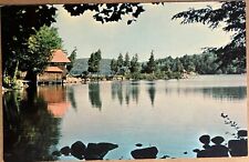 Big Moose Lake New York Covewood Lodge Boat House Scenic VTG NY Postcard c1950 picture