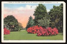 Vintage Postcard - Magnolia Gardens, Charleston, SC picture