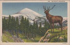 Two Mighty Monarchs Deer Washington State Linen 1943 Postcard 8105.1 picture