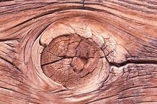 35 MM Color Slides Pro Photo  Abstract Art Wood Rustic Knot Hole  1990 #34 picture