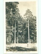 1940's rppc NICE VIEW Rainy River - Near Lake Of The Woods Ontario ON i7086 picture