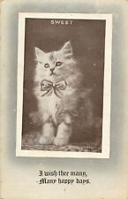 Cat Postcard Sweet Fluffy Silver Tabby Kitty With Bow Robbins picture
