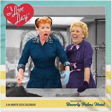I LOVE LUCY - 2024 WALL CALENDAR - BRAND NEW & OFFICIAL - DDD741 picture
