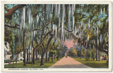 Ridgewood Avenue-Daytona, Florida FL-unposted antique postcard picture