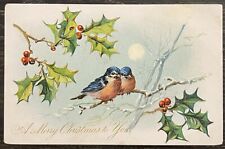A Merry Christmas to You Tuck’s Vintage Postcard Bird Holly Moon Pre-1907 picture