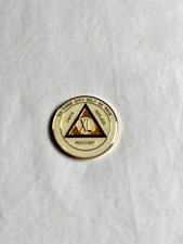 Alcoholics Anonymous 40 Year AA Medallion White picture