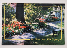 Vintage postcard West Shore Acres Tulips Display Washington Unposted Gardner picture