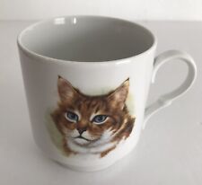 Schuman Arzberg Bavaria Germany Coffee Cup Mug Orange Tabby Ginger Cat Porcelain picture