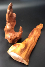 Two Cypress Knee Art Wood Tree Roots picture