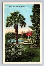 Orlando FL-Florida, A Beauty Spot, Antique, Vintage Souvenir Postcard picture