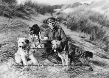 World War I Messenger Dogs PHOTO British Soldier Front Lines Dog Handler picture