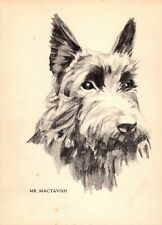 1930s Antique Scottish Terrier Print Wall Art Decor Philip Duncan Art 5450v picture
