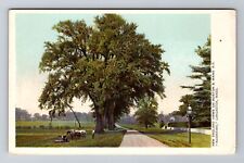 Lancaster MA-Massachusetts, Scenic Farm view, Horses, Antique Vintage Postcard picture