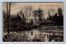 Phillips ME-Maine, Carlton's Pond, Antique Vintage Souvenir Postcard picture