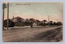 Badillo Street COVINA California Antique Hand Colored Collotype PC Cover 1910 picture