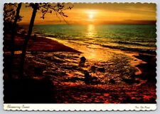 Golden Rays Shimmering Sunset Michigan Great Water Wonderland Postcard UNP 6x4 picture