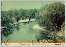 Ionia, MI - Greetings - White Lace, Outdoors in Winter - Vintage Postcard 4x6 picture