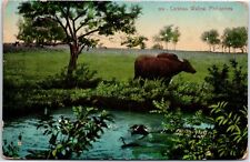 VINTAGE POSTCARD CARABAO WALLOW IN THE FARM FIELDS OF THE PHILLIPINES c. 1910s picture