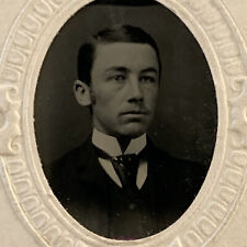 Antique Tintype Photograph Handsome Dapper Young Man Necktie picture