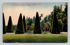 Postcard Nursery Gardens in Coyoacan Mexico, Antique M16 picture