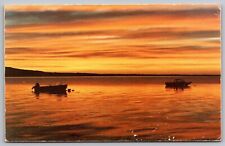 Sunrise Southern Tip Mount Desert Island Flye Poinnt Brooklin Maine VNG Postcard picture