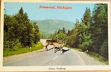 Ironwood Michigan Deer on Roadway Postcard c1970 picture