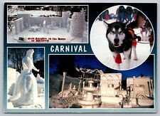 Winter Carnival in Houghton-Hancock MI Michigan Postcard, snow sculptures, husky picture