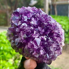 1.02LB  Very Rare Natural Amethyst Flower Cluster Specimen Healing picture