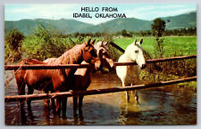 Vintage Postcard OK Oklahoma Idabel Greetings Horses Stream -466 picture
