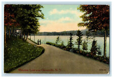 c1910 Mountain Lake Near Gloversville New York NY Posted Antique Postcard picture