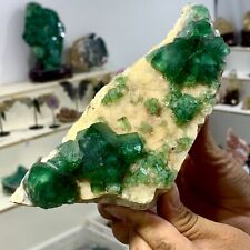 482G Rare transparent GREEN cubic fluorite mineral crystal sample/China picture