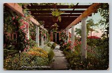 c1909 A Pergola California Residence Pretty Flowers & Plants ANTIQUE Postcard picture