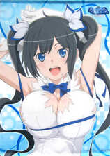 Tapestry Single Item Hestia B2 Movie Version Is It Wrong To Try Pick Up Girls In picture