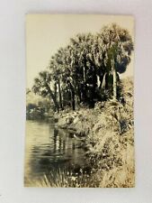 Palm Tree Water Front RPPC Florida Vintage Postcard Photo picture