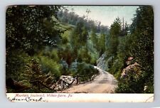Wilkes-Barre PA-Pennsylvania, Mountain Boulevard, Antique Vintage Postcard picture