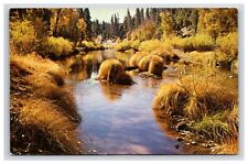 Postcard: CA Feather RIver Canyon, Blairsden, California - Unposted picture
