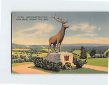 Postcard The Elk Overlooking Deerfield River Valley Massachusetts USA picture