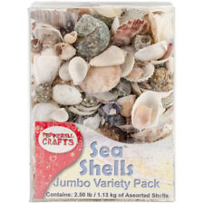 Pepperell Mixed Sea Shells 2.5lb-Assorted - 3 Pack picture