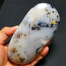 HOT419g Natural Polished Aquatic Plants Agate Crystal  Madagascar 29A46+ picture