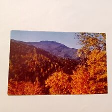 Postcard: Mt. Mitchell Blue Ridge Parkway North Carolina picture