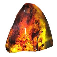 45g Chiapas Mexican Amber Polished Cognac Red Green Stone of Exceptional Quality picture