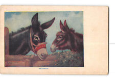 B Milano Artist Signed Art Postcard 1907-1915 Two Donkey Meekness picture